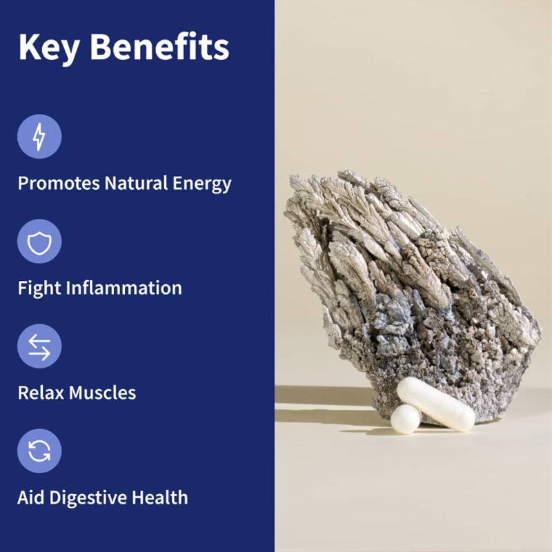 BSYS Magnesium Supplements Sleep & Anxiety Relief Aid Muscle Relaxation Support Heart Health & Blood Sugar Balance Formula Cognitive Function Enhancement Nighttime Wellness Supplement Hussains1214